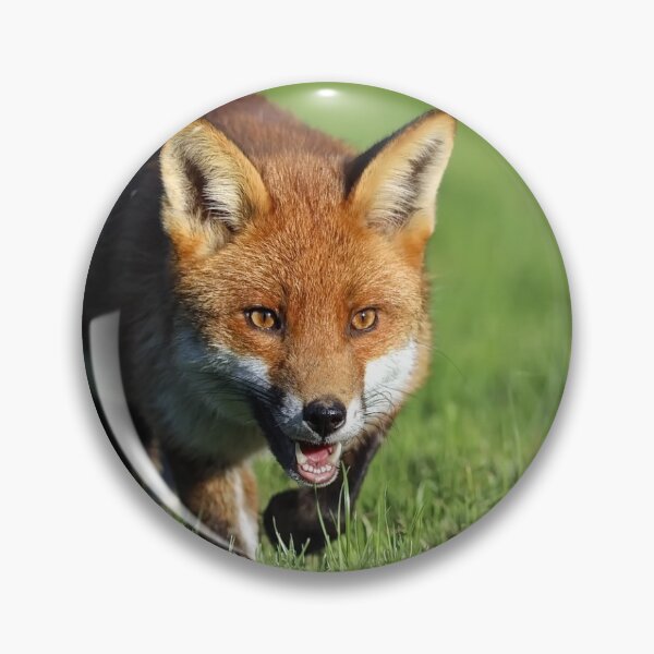 Item preview, Fox designed and sold by Dean   Eades.