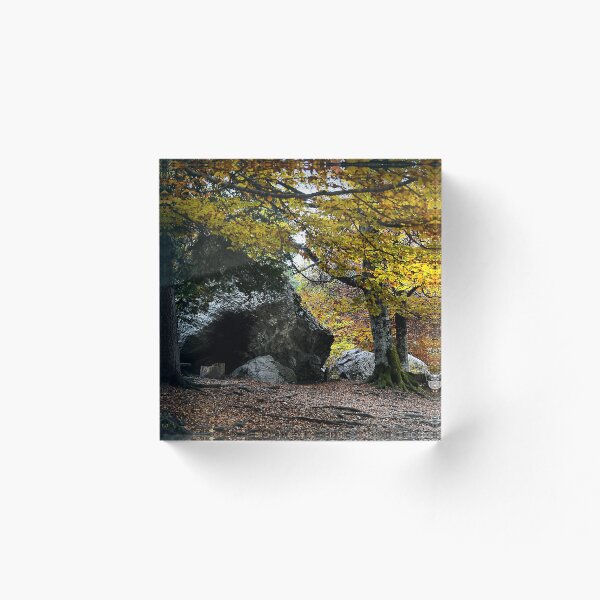 Aperçu de l'œuvre Paysage d'automne créée et vendue par Denis Charmot.