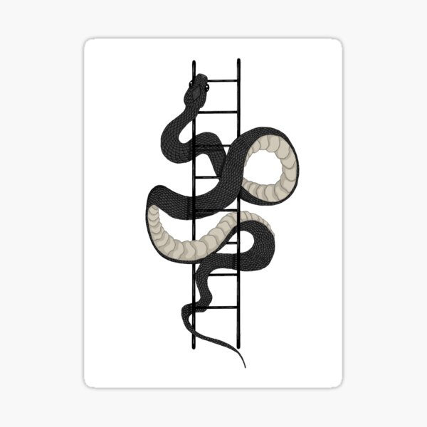 Black & White doodle snakes and ladders