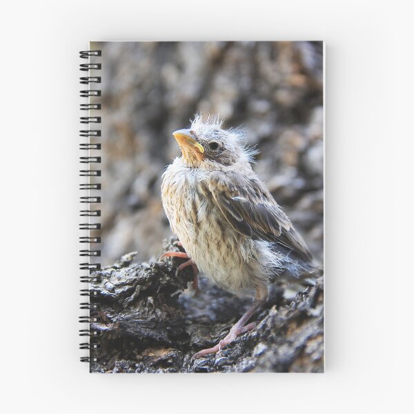 Item preview, The Fledgling designed and sold by heatherfriedman.