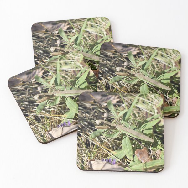 Item preview, Praying Mantis in the Grass designed and sold by Kathleen Brant.