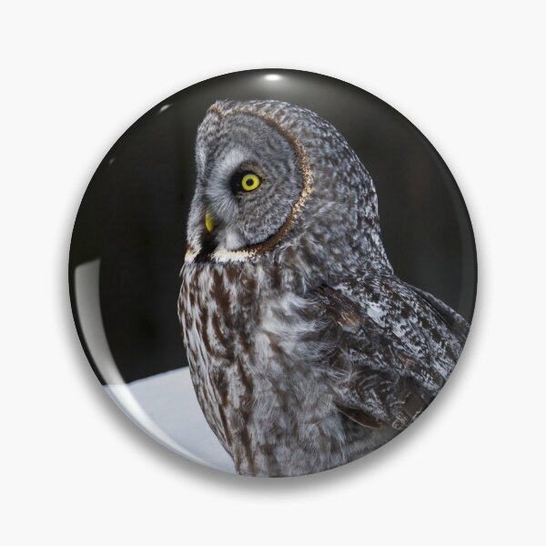 Item preview, Great Grey Owl designed and sold by Owl-Images.