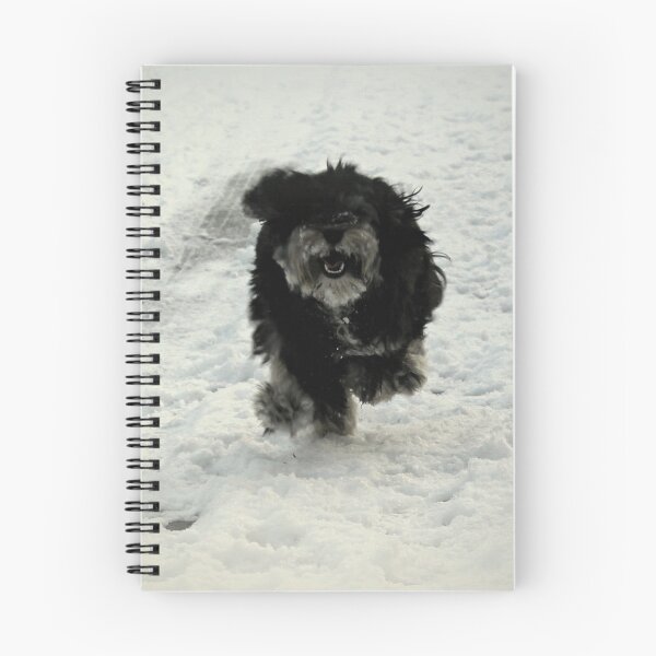Item preview, Having Fun or What.....! designed and sold by naturelover.
