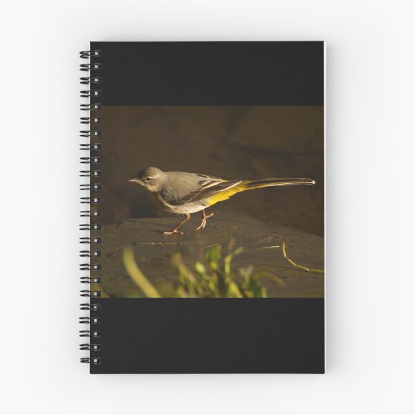 Item preview, Grey wag-tail designed and sold by Jon Lees.