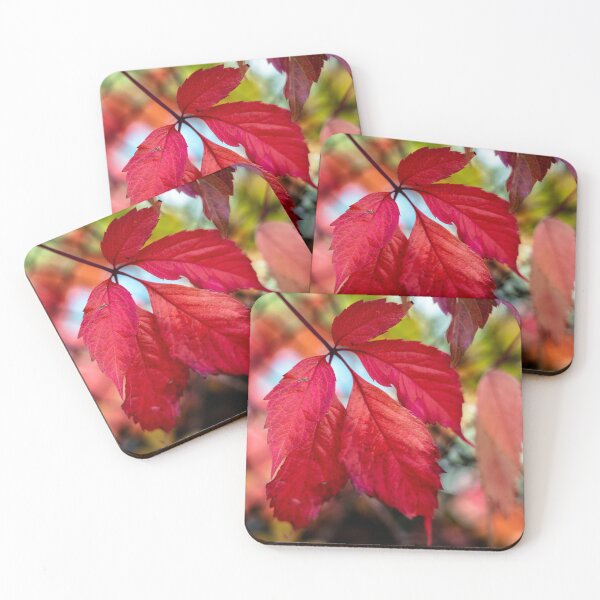 Item preview, Leaf in autumn colors designed and sold by 5R Photography.