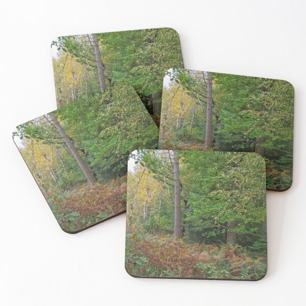 Item preview, Autumn in Thornley Woods designed and sold by Rob Cole Photography.