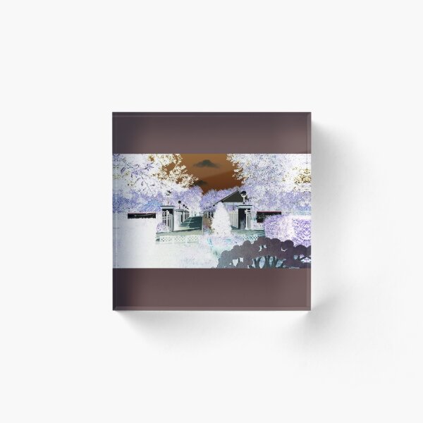 Winter Snow if any in Florida Acrylic Block