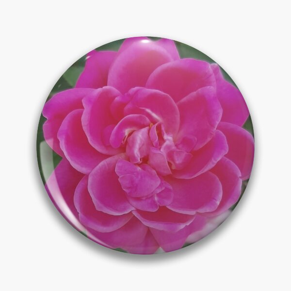 Item preview, Pretty Pink Posey designed and sold by Jaroffaith.