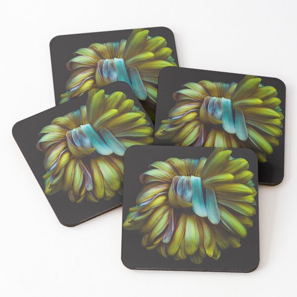 Item preview, kiku designed and sold by alan shapiro.