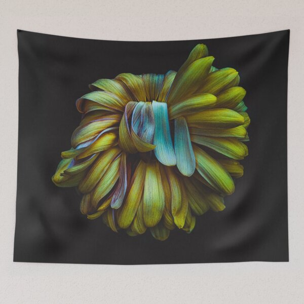 Item preview, kiku designed and sold by alan shapiro.