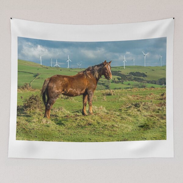 Item preview, The Horse and its Kingdom on a welsh hillside with wind turbines in the background. designed and sold by Cameranick.