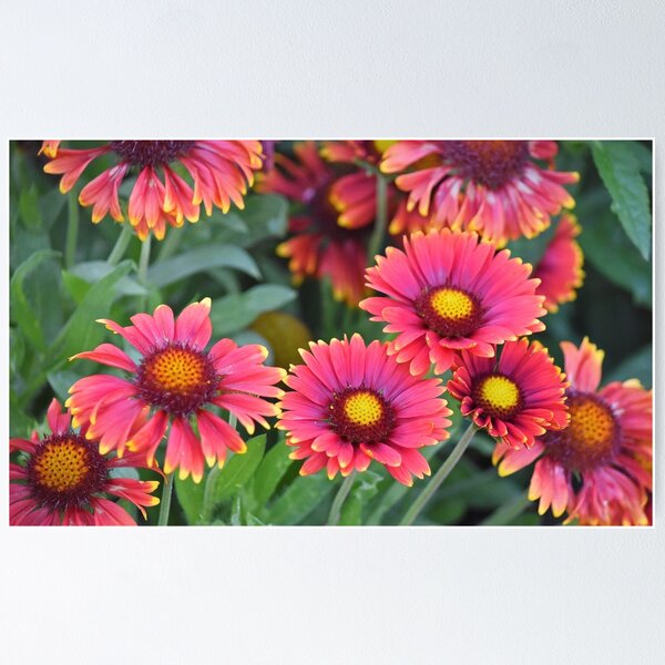 Item preview, A Bounty of Blossoms designed and sold by Maria Keady.