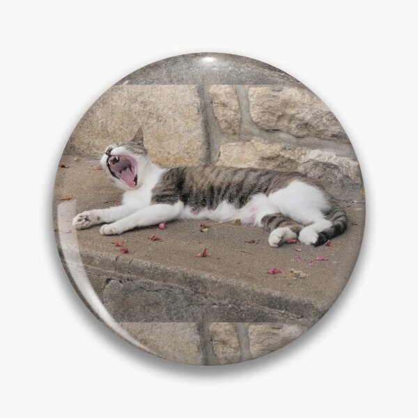 Item preview, 2510/ 16  Marais Poitevin " la Douceur de vivre pour la chatte de Coulon "  2020 par Okaio Créations - Olavia&Olao avec mon fz 2000 designed and sold by o.okaïo.