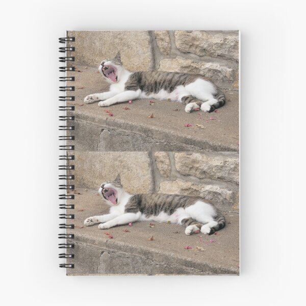 Item preview, 2510/ 16  Marais Poitevin " la Douceur de vivre pour la chatte de Coulon "  2020 par Okaio Créations - Olavia&Olao avec mon fz 2000 designed and sold by o.okaïo.