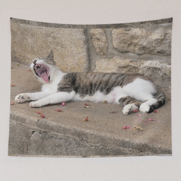 Item preview, 2510/ 16  Marais Poitevin " la Douceur de vivre pour la chatte de Coulon "  2020 par Okaio Créations - Olavia&Olao avec mon fz 2000 designed and sold by o.okaïo.