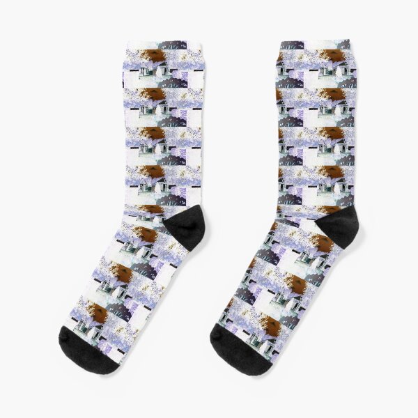 Winter Snow-II Florida WHITE background Socks