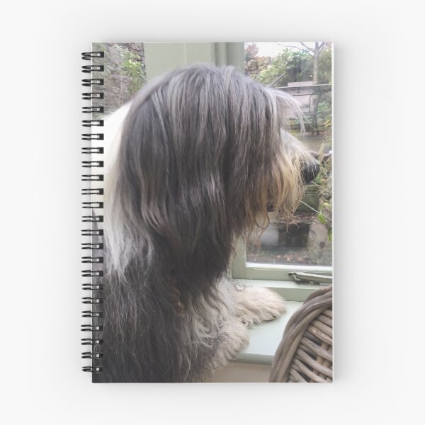 Item preview, Bearded Collie - Did Somebody Say Walkies to this Beautiful Beardie?! designed and sold by Bucklandcrafts.