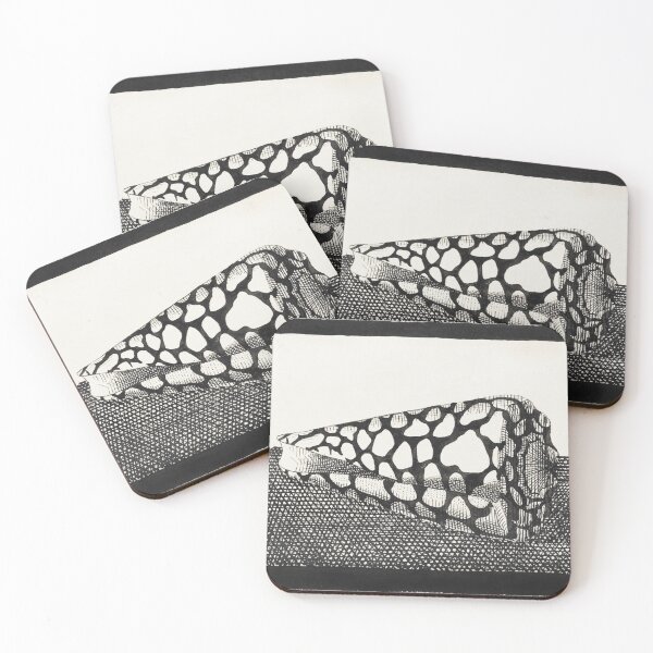 Item preview, Black and White Sea Shell (Schelp, naar links) designed and sold by SFTStudio.