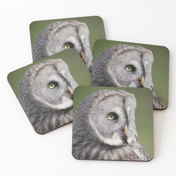 Item preview, Portrait of a Great Grey Owl designed and sold by sxgsixtyseven.