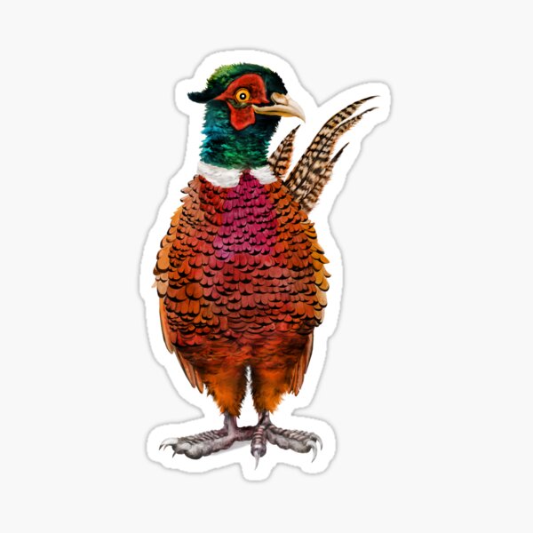 Item preview, Happy Pheasant | Cartoon Game Bird  designed and sold by Snootrac.