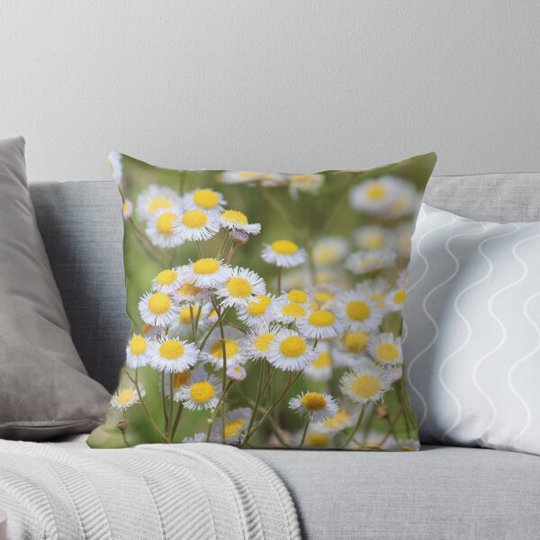 Item preview, Daisy Field designed and sold by Bob Hardy.