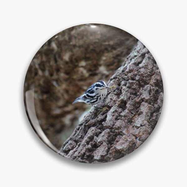 Item preview, Black And White Warbler designed and sold by Cynthia48.