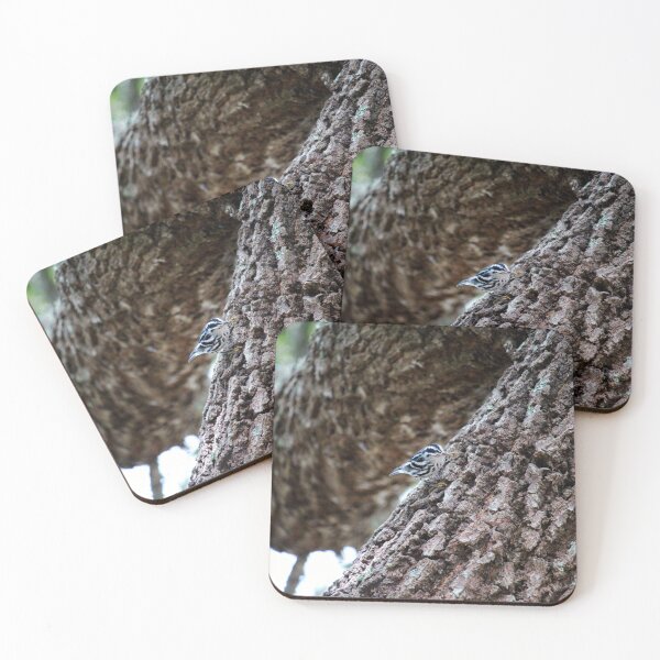 Item preview, Black And White Warbler designed and sold by Cynthia48.