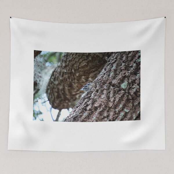 Item preview, Black And White Warbler designed and sold by Cynthia48.