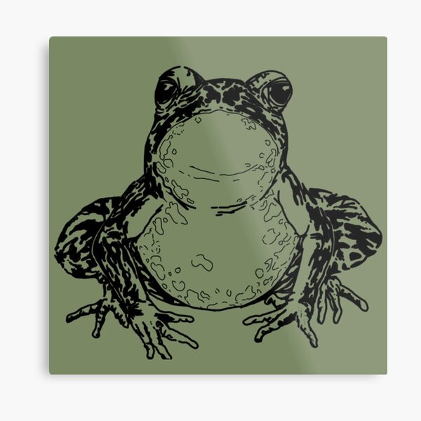 American Bullfrog Black and White Metal Print