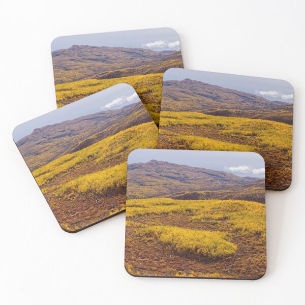Item preview, Fall taiga recovering from fire, Fox Lake burn, Yukon Territory, Canada designed and sold by ImagoBorealis.