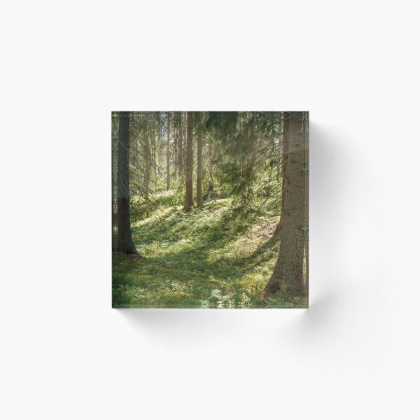 Item preview, Pine tree forest designed and sold by EngineerGoC.