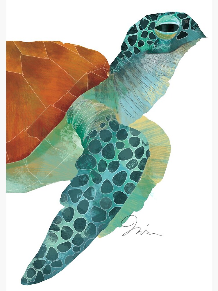 Green Sea Turtle - No Background Spiral Notebook for Sale by TrevorIrvin