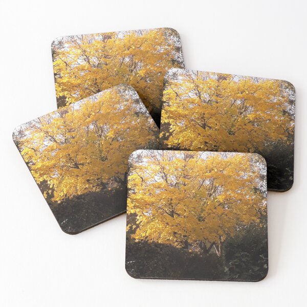 Item preview, Yellow Leaved Tree in Autumn sunshine designed and sold by rbguy1960.