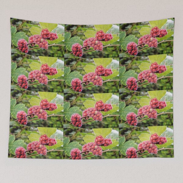 Item preview, Fuzzy Sumac Berries designed and sold by Maria Keady.