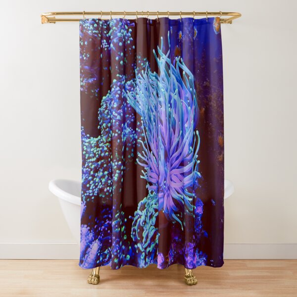 Under the Sea Shower Curtain