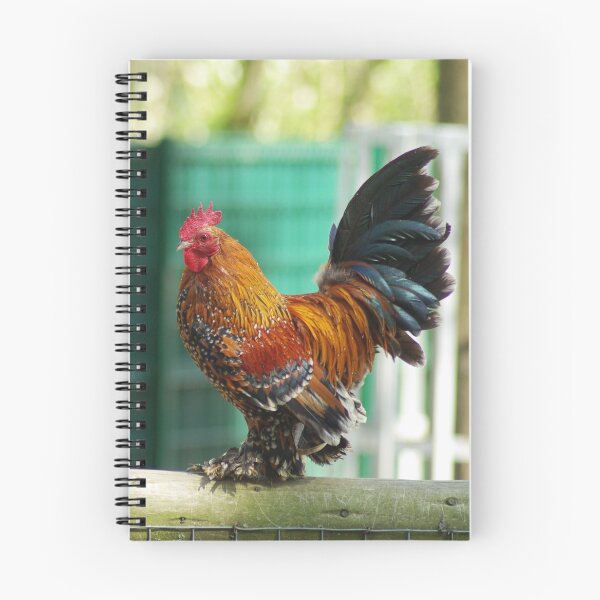 Item preview, Rooster designed and sold by tada-leipzig.