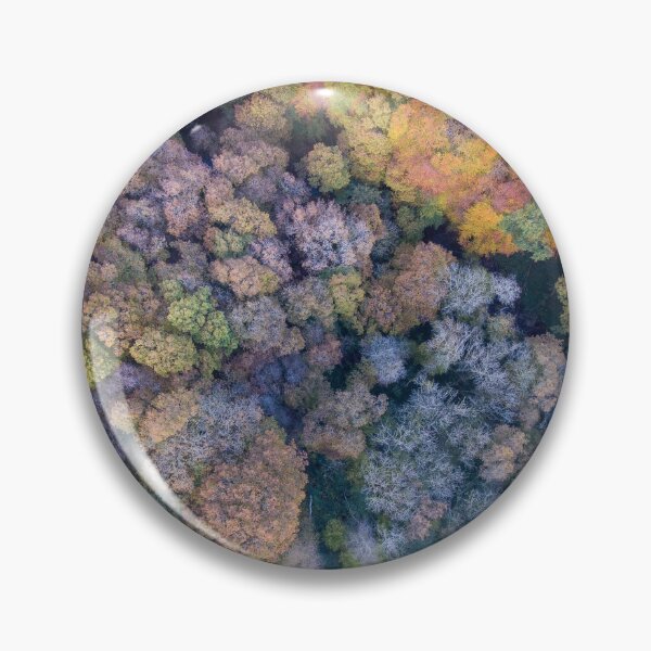 Item preview, Autumn tree tops designed and sold by Leighton Collins.