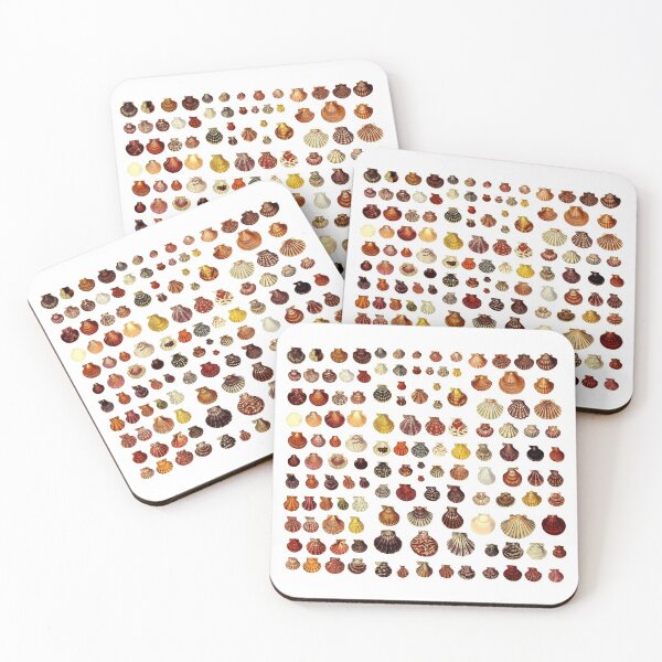 Item preview, Big Collection of Tiny Shells designed and sold by millie-and-inez.