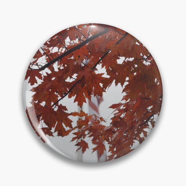 Item preview, Maple Tree Leaves Photograph designed and sold by P Martin.