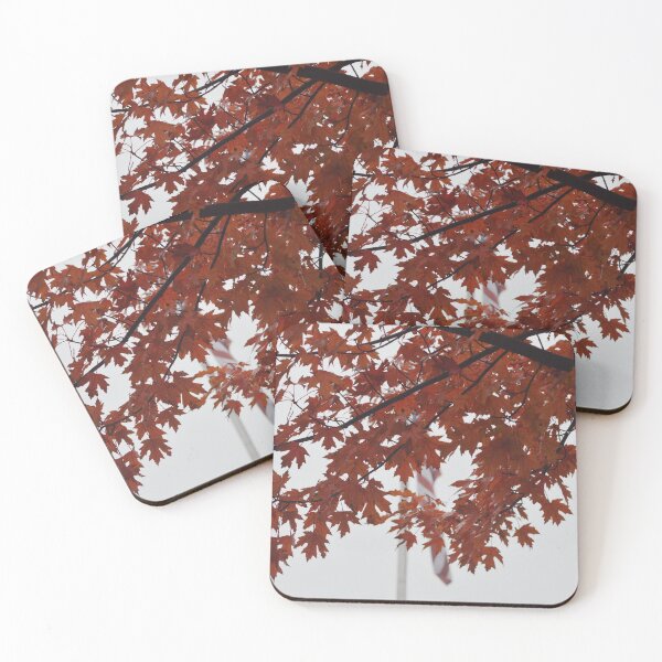 Item preview, Maple Tree Leaves Photograph designed and sold by P Martin.