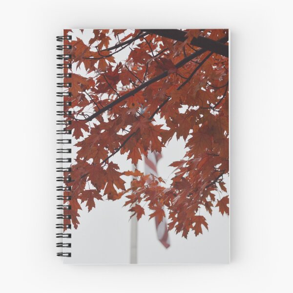 Item preview, Maple Tree Leaves Photograph designed and sold by P Martin.