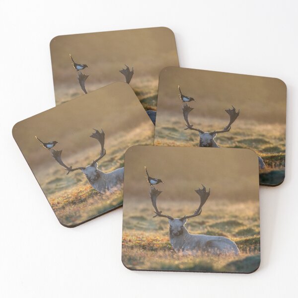 Item preview, The Fallow Buck and the Magpie designed and sold by Steve Liptrot Photography.
