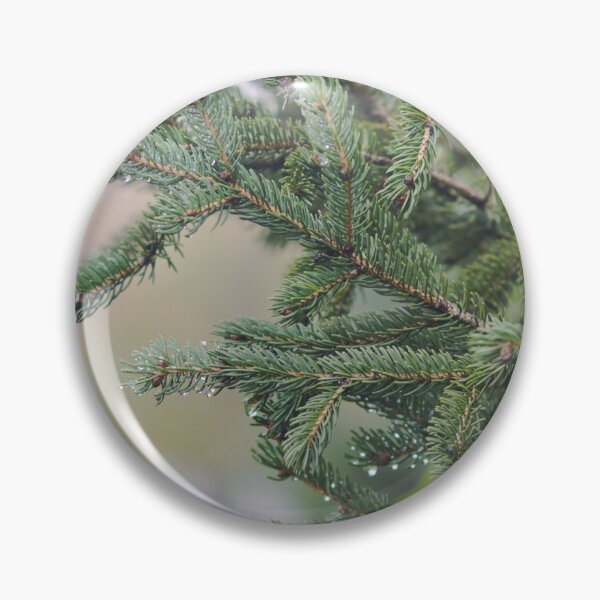 Item preview, Pine Tree Branches Photograph designed and sold by P Martin.