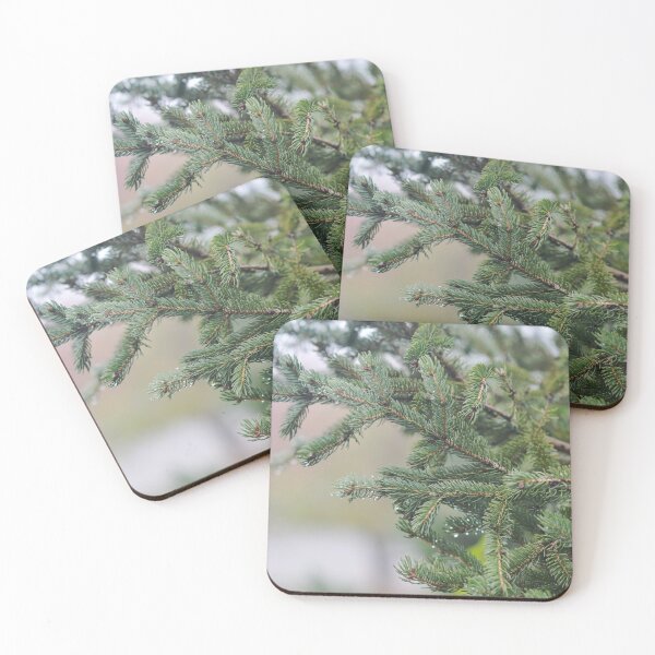 Item preview, Pine Tree Branches Photograph designed and sold by P Martin.