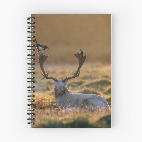 Item preview, The Fallow Buck and the Magpie designed and sold by Steve Liptrot Photography.