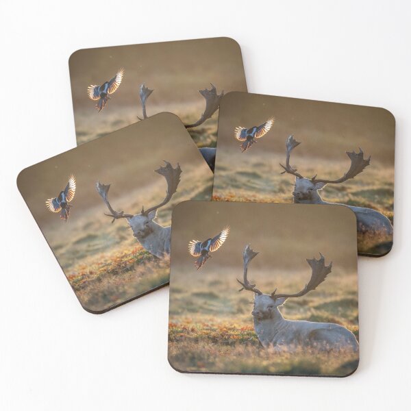 Item preview, The Fallow Buck and the Magpie designed and sold by Steve Liptrot Photography.