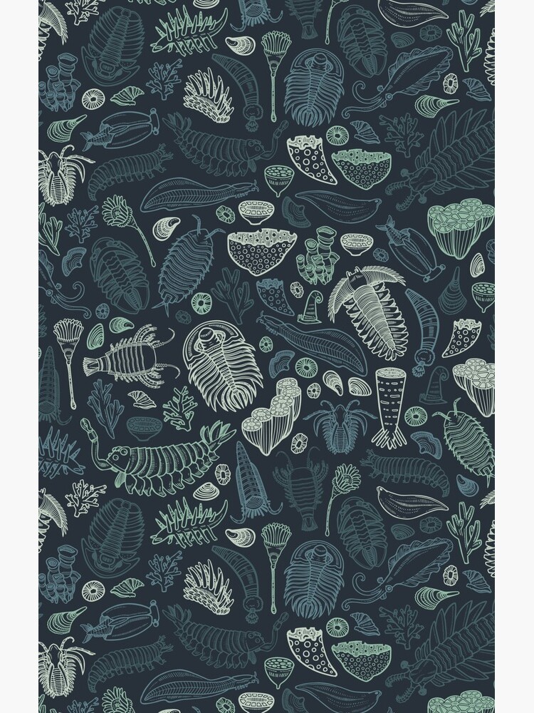 Studio 252MYA Collaboration: Cambrian Fauna (2020 Reboot) by softbiology