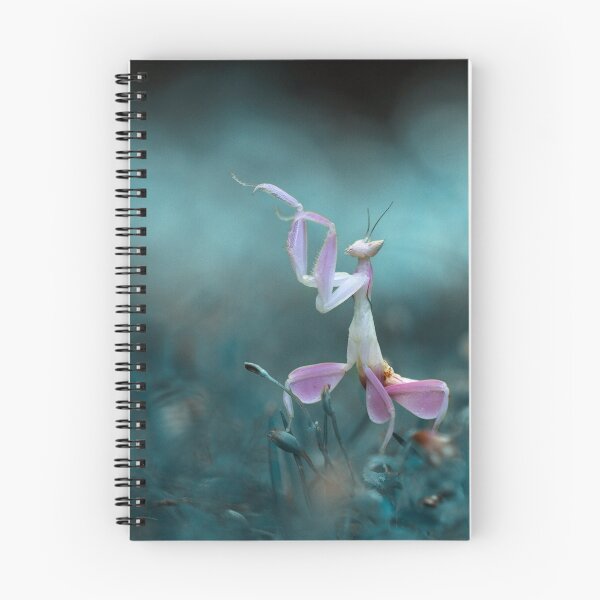 Item preview, Pink Orchid Mantis Dancing designed and sold by Wit-POD.