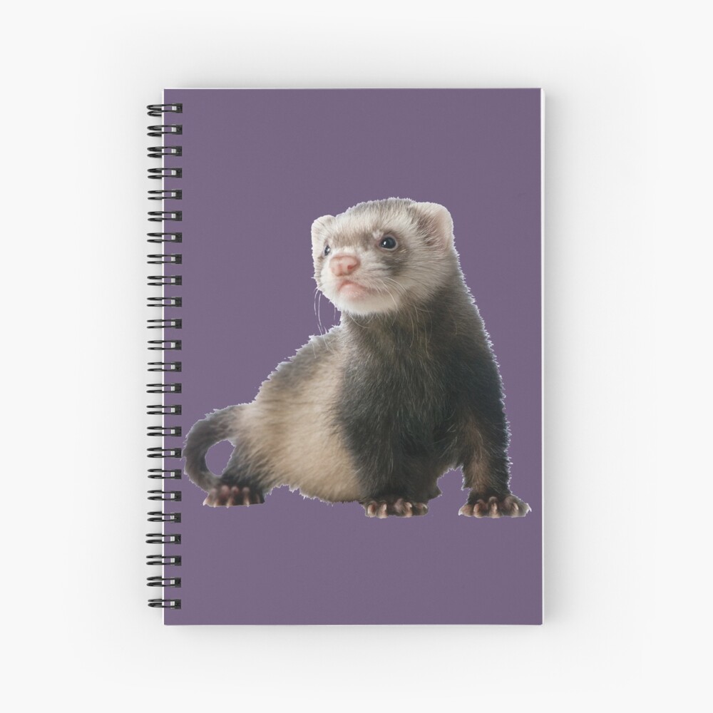 Impression Artistique Bebe Furet Mignon Par Lokipigeon Redbubble