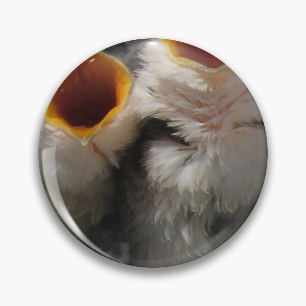 Item preview, Say ahhhhh designed and sold by Phyllis Koppel.